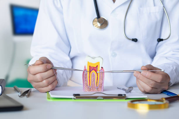 Best Emergency Tooth Extraction  in Millwood, WA